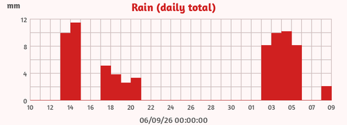 Rain